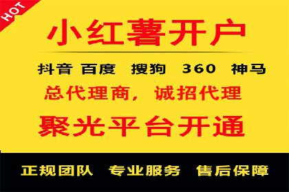 SEM外包服务应用案例分析